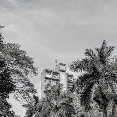 bnglr04.jpg